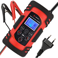 Directtyteam Cargador de batería Inteligente portátil 8A 12V - 4A 24V Pantalla LCD con múltiples Protectores Tipo de…